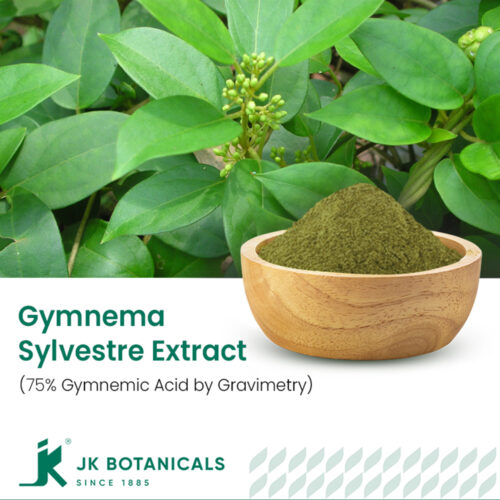 1-2 Taste JK Botanicals - Gymnema Sylvestre leaves extract 75% Gymnemic Acid by Gravimetry in wooden bowl with fresh leaves beside